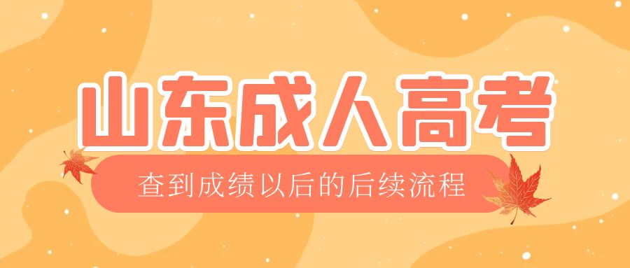 龙口成考查完成绩以后做什么，龙口成考网